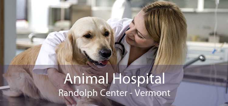 Animal Hospital Randolph Center - Vermont
