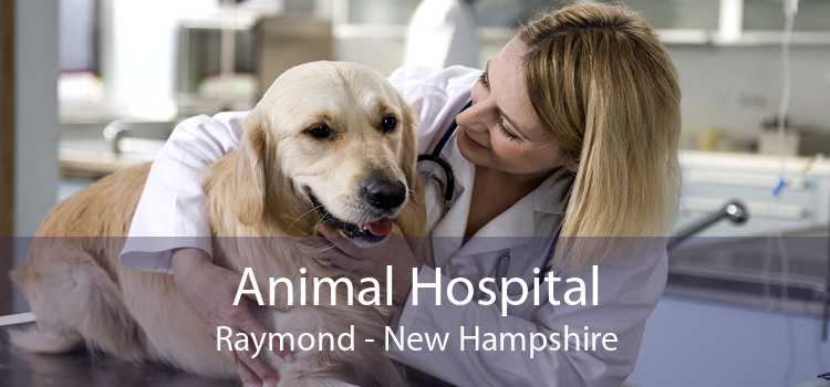 Animal Hospital Raymond - New Hampshire