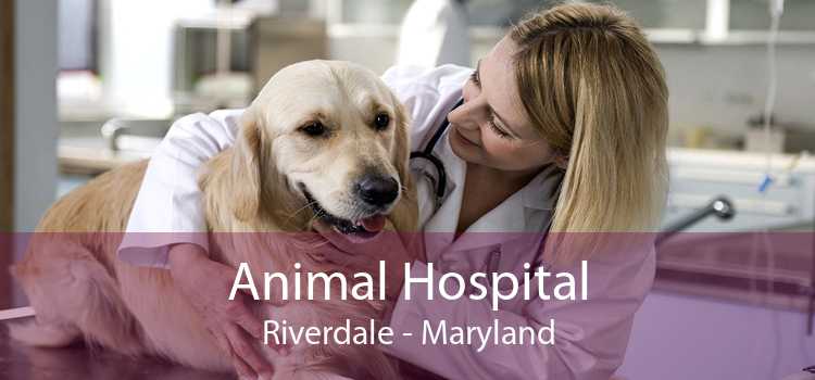 Animal Hospital Riverdale - Maryland