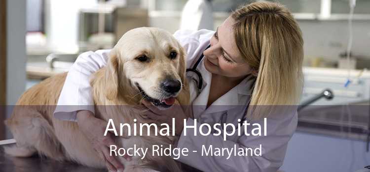 Animal Hospital Rocky Ridge - Maryland