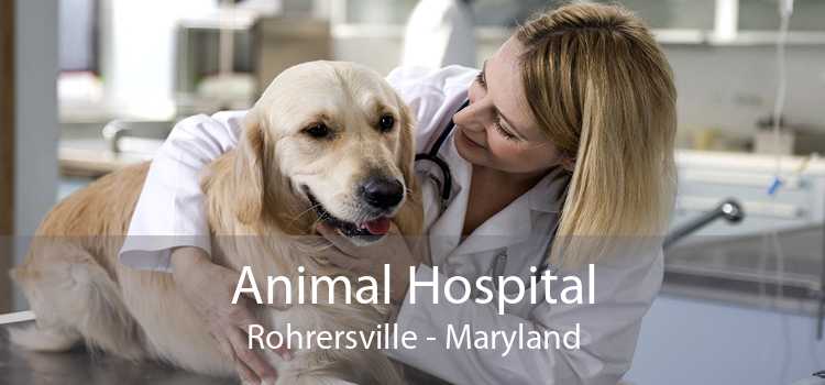 Animal Hospital Rohrersville - Maryland