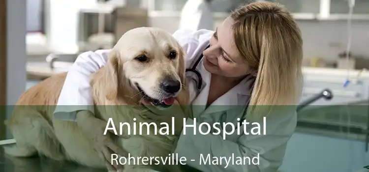 Animal Hospital Rohrersville - Maryland