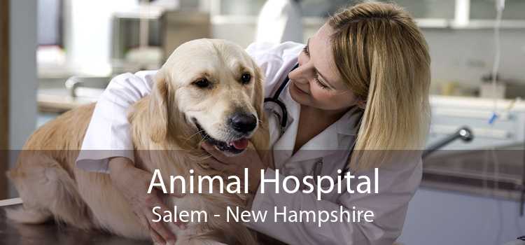 Animal Hospital Salem - New Hampshire