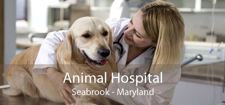 Animal Hospital Seabrook - Maryland