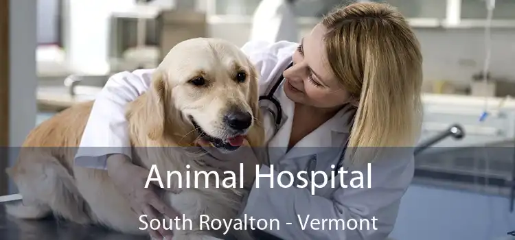 Animal Hospital South Royalton - Vermont