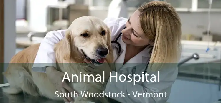 Animal Hospital South Woodstock - Vermont