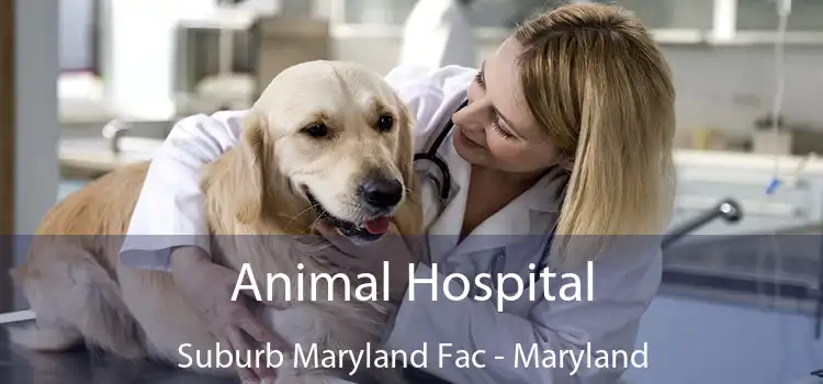 Animal Hospital Suburb Maryland Fac - Maryland