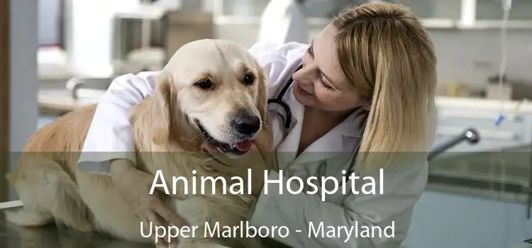 Animal Hospital Upper Marlboro - Maryland