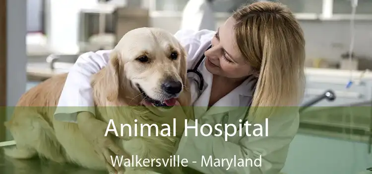 Animal Hospital Walkersville - Maryland