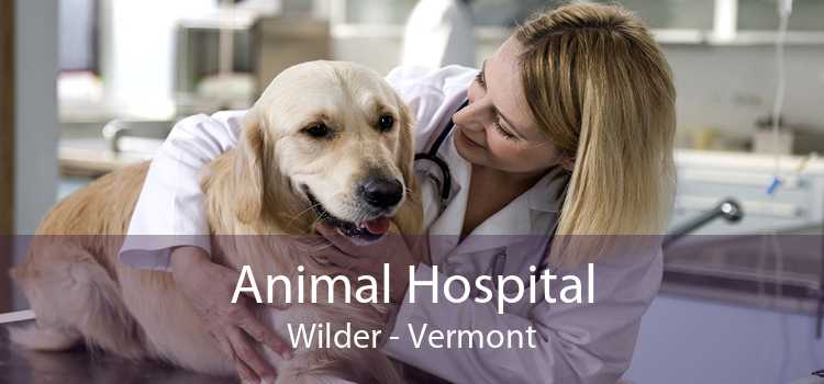 Animal Hospital Wilder - Vermont