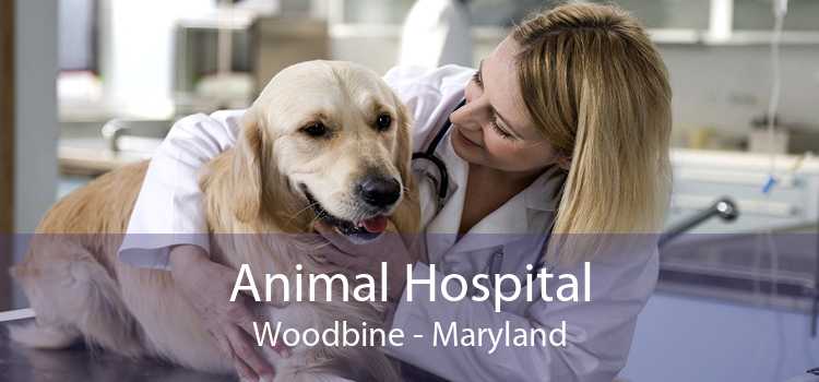 Animal Hospital Woodbine - Maryland