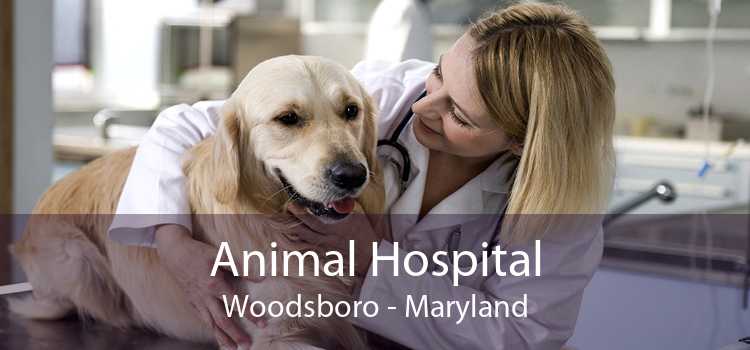 Animal Hospital Woodsboro - Maryland