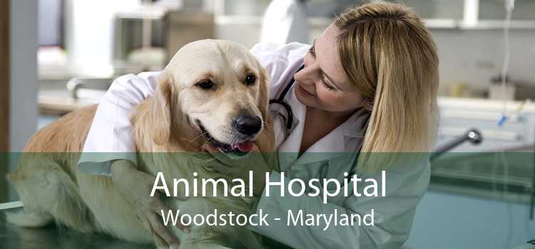 Animal Hospital Woodstock - Maryland