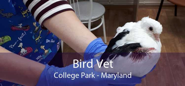 Bird Vet College Park - Maryland