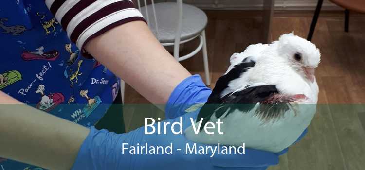 Bird Vet Fairland - Maryland