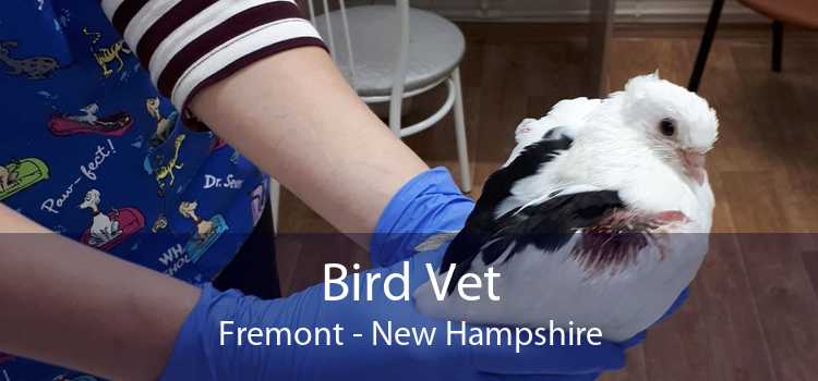 Bird Vet Fremont - New Hampshire