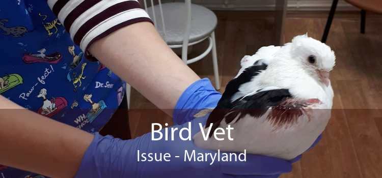 Bird Vet Issue - Maryland