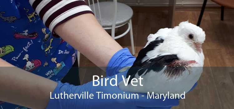 Bird Vet Lutherville Timonium - Maryland