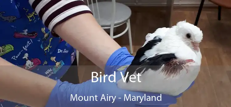 Bird Vet Mount Airy - Maryland