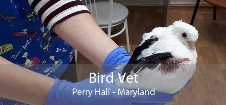 Bird Vet Perry Hall - Maryland