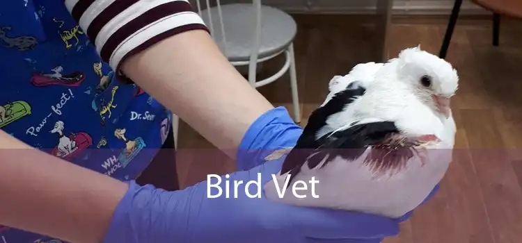 Bird Vet