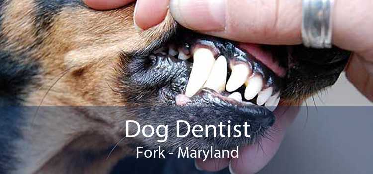 Dog Dentist Fork - Maryland