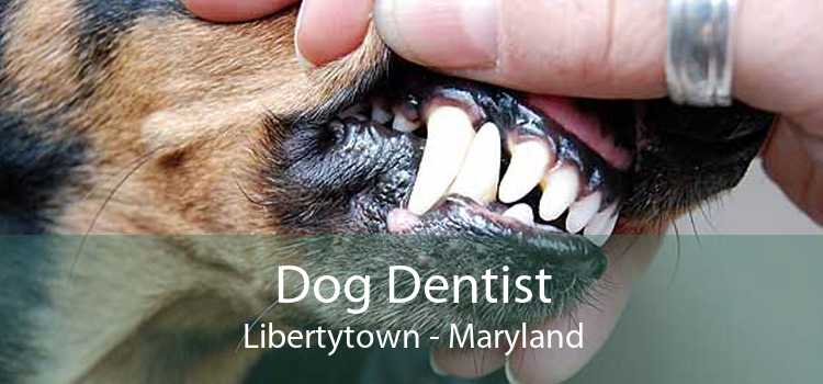 Dog Dentist Libertytown - Maryland