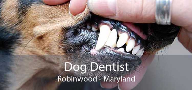 Dog Dentist Robinwood - Maryland