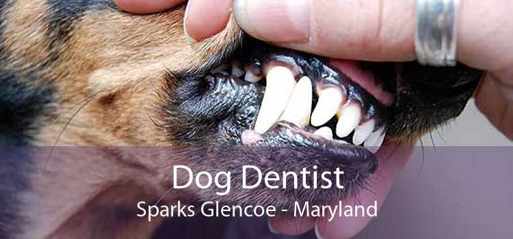 Dog Dentist Sparks Glencoe - Maryland