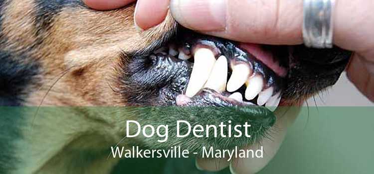 Dog Dentist Walkersville - Maryland