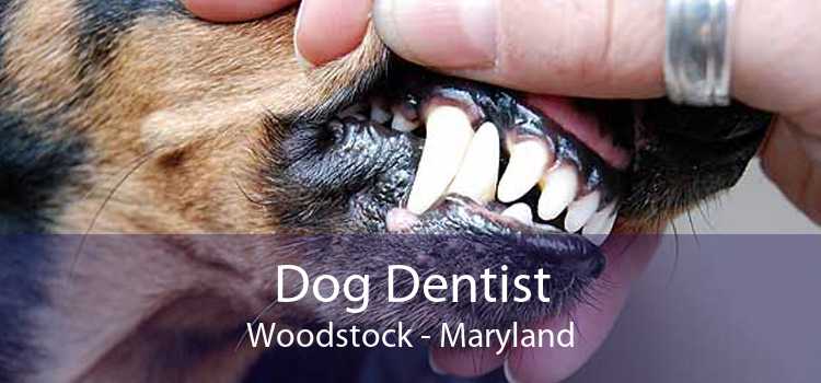 Dog Dentist Woodstock - Maryland