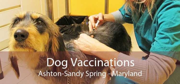 Dog Vaccinations Ashton-Sandy Spring - Maryland
