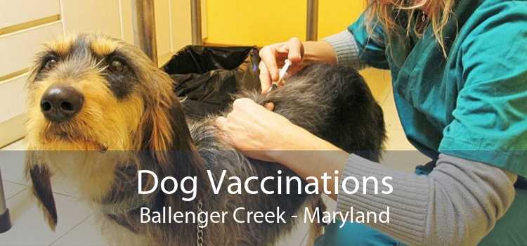 Dog Vaccinations Ballenger Creek - Maryland