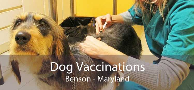 Dog Vaccinations Benson - Maryland