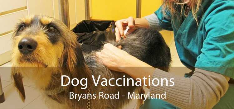 Dog Vaccinations Bryans Road - Maryland