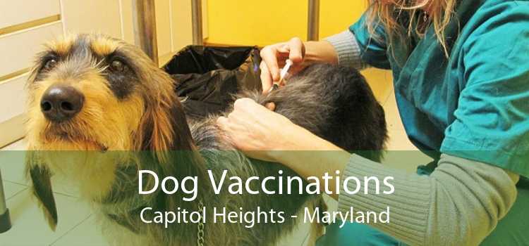 Dog Vaccinations Capitol Heights - Maryland