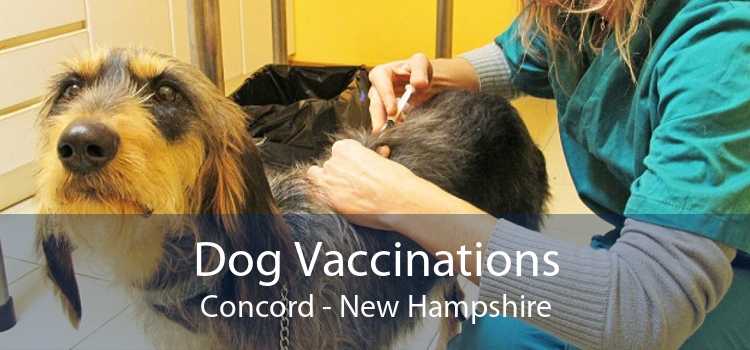 Dog Vaccinations Concord - New Hampshire