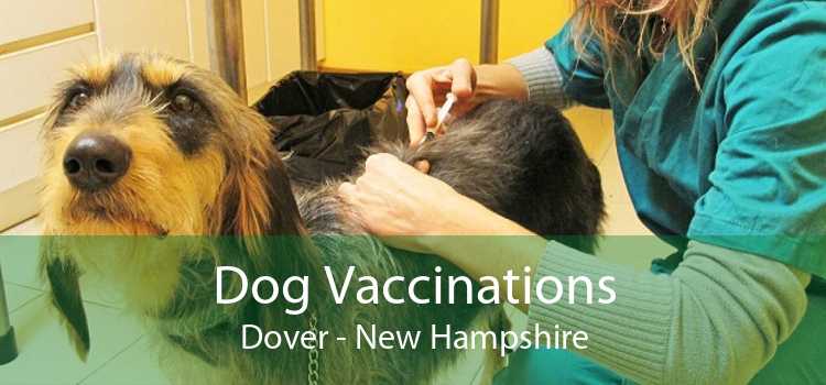 Dog Vaccinations Dover - New Hampshire