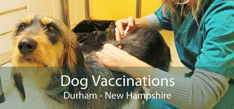Dog Vaccinations Durham - New Hampshire