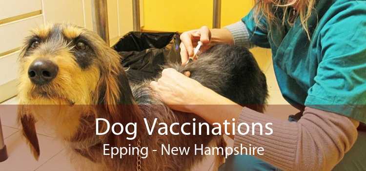 Dog Vaccinations Epping - New Hampshire