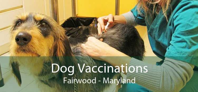 Dog Vaccinations Fairwood - Maryland