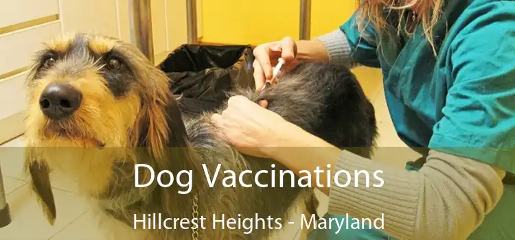 Dog Vaccinations Hillcrest Heights - Maryland