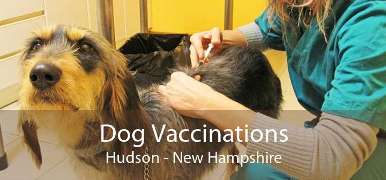 Dog Vaccinations Hudson - New Hampshire