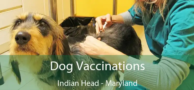 Dog Vaccinations Indian Head - Maryland