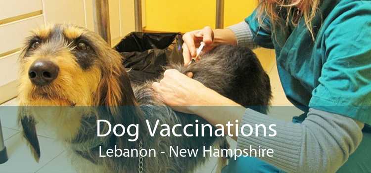 Dog Vaccinations Lebanon - New Hampshire