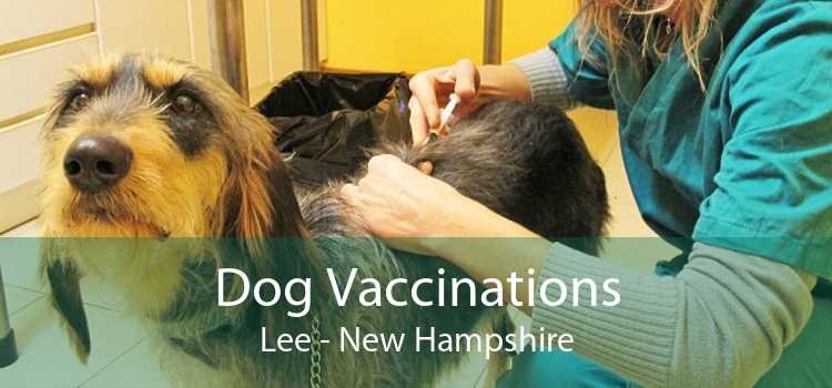 Dog Vaccinations Lee - New Hampshire