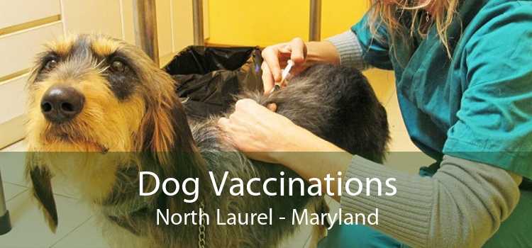 Dog Vaccinations North Laurel - Maryland