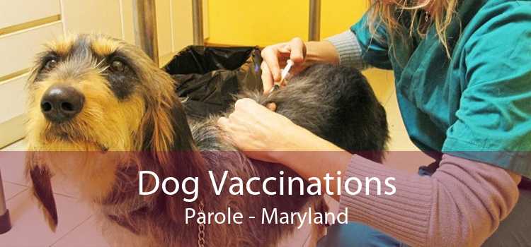 Dog Vaccinations Parole - Maryland
