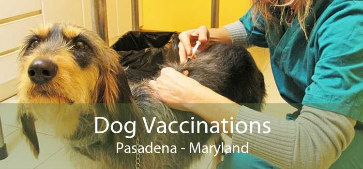 Dog Vaccinations Pasadena - Maryland