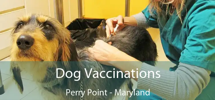 Dog Vaccinations Perry Point - Maryland
